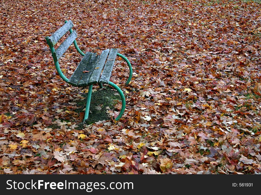 Autumnal bench with many leafs