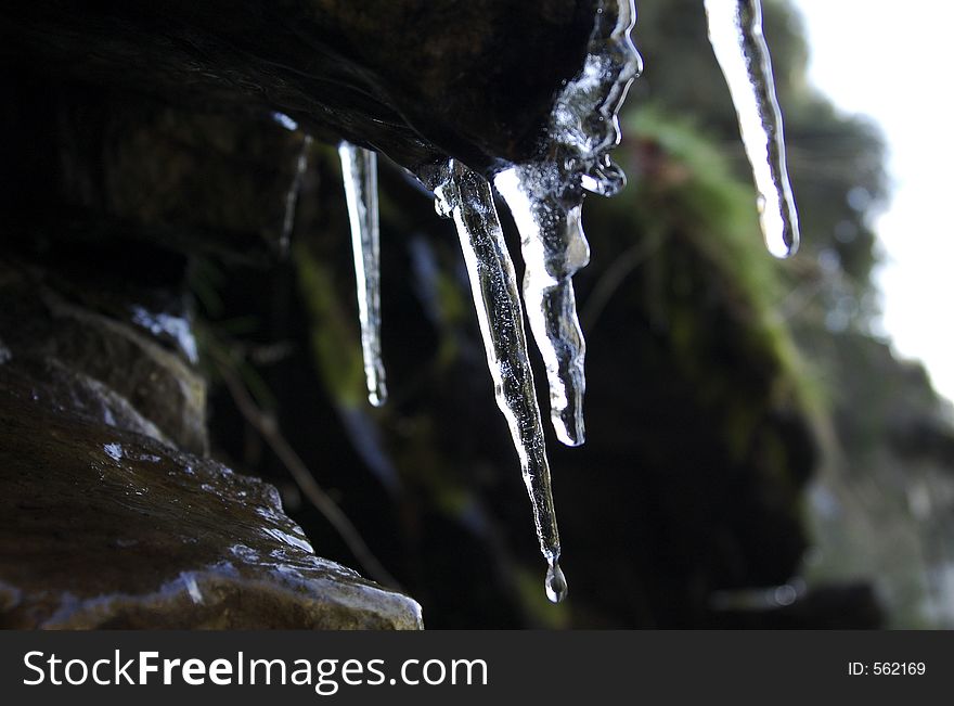 Iceicle Dripping at Sequoia National Park