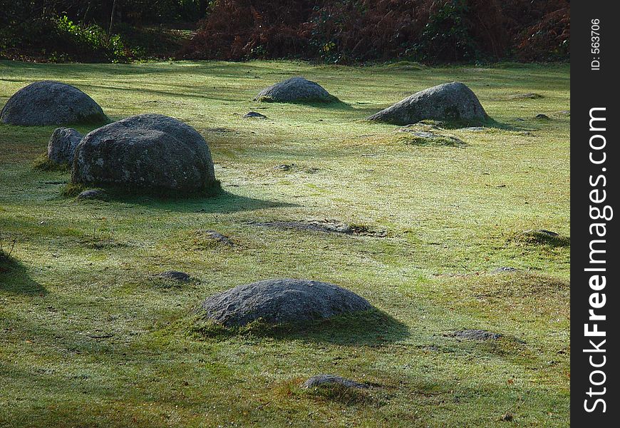 Stones on the grass on the side of the Dart river