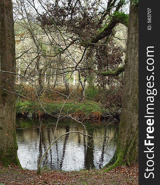 A view of the Dart river in Devonshire, United Kingdom