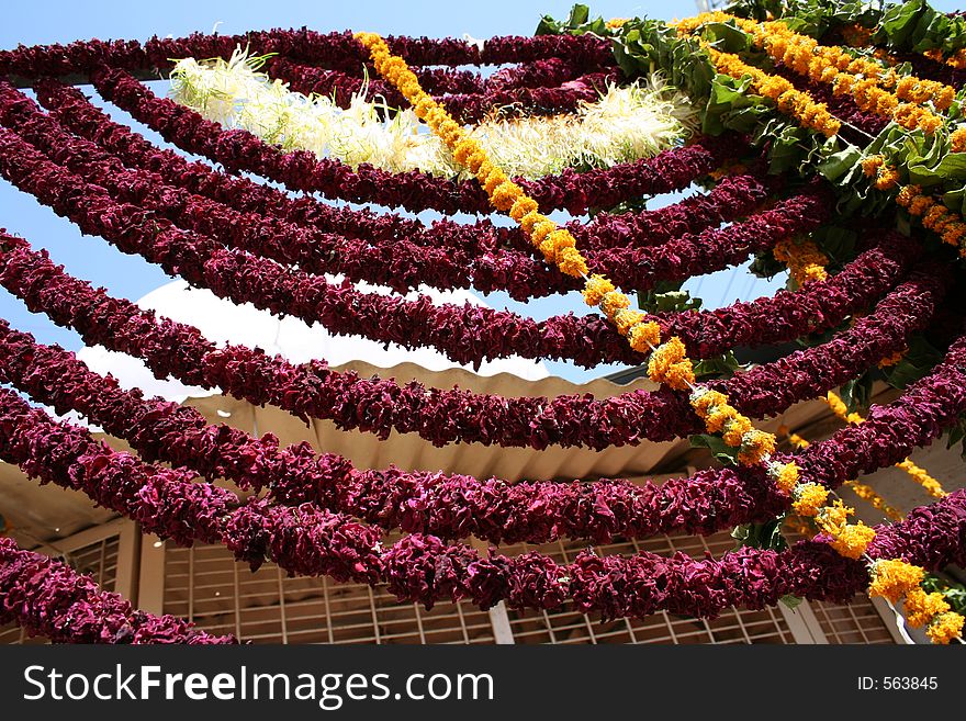 Strings of flowers in Jodhpur, Rajastan, India. Strings of flowers in Jodhpur, Rajastan, India