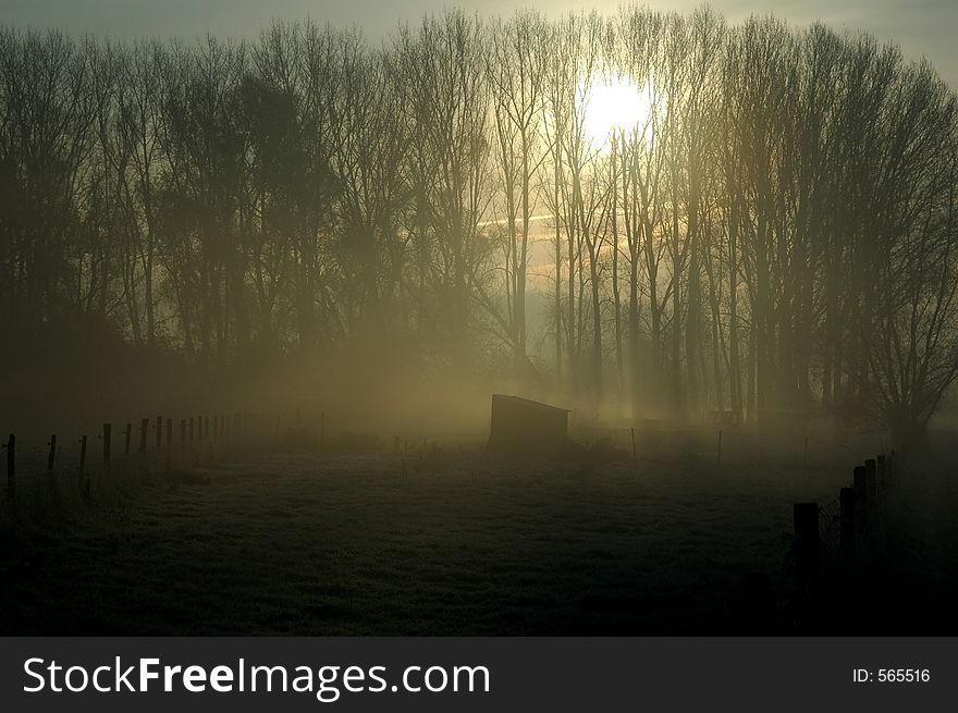 Sunlight shines through trees on a cabin in the field. Sunlight shines through trees on a cabin in the field