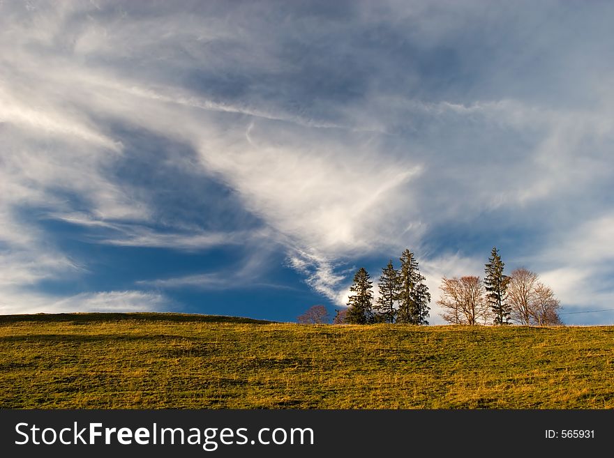 Yellow field and blue cloudy sky