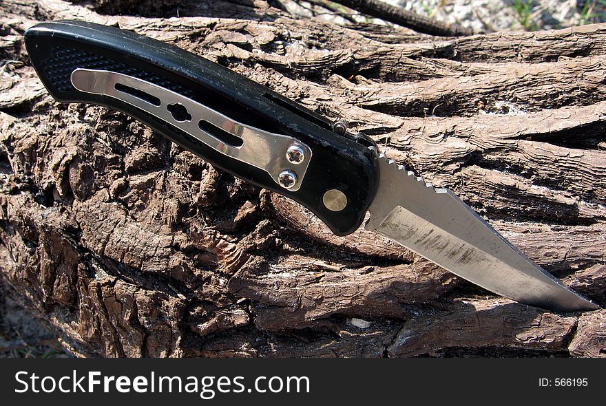 Original photo of a knife stuck in a dead tree. Original photo of a knife stuck in a dead tree.