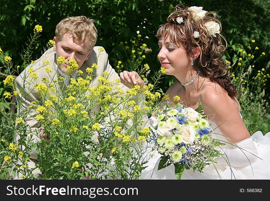 Bridegroom and bride sit on lawn in park. Bridegroom and bride sit on lawn in park