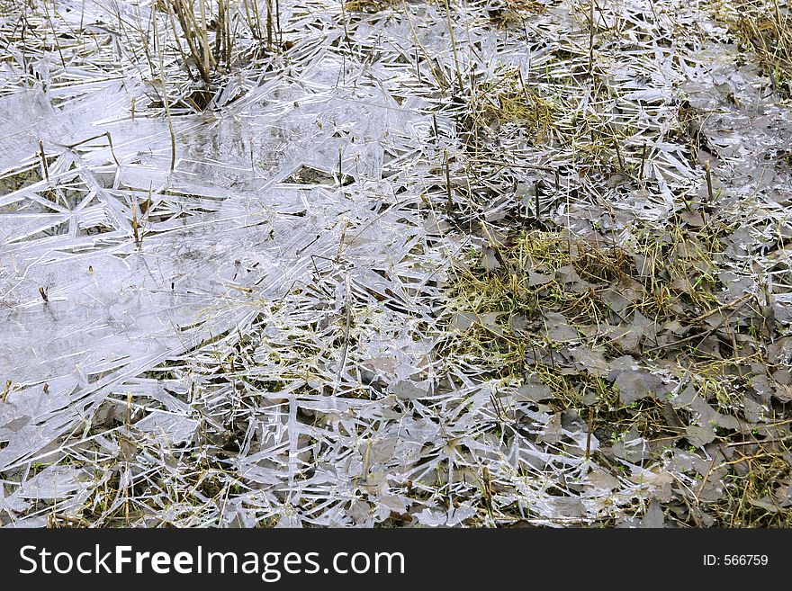 Thin ice that occurred on muddy lake