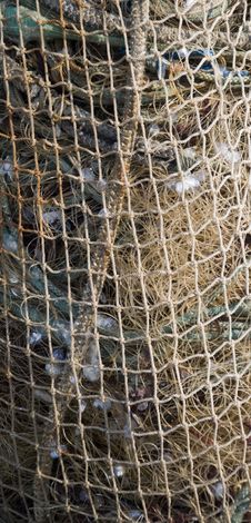 Buoy And Ropes Royalty Free Stock Photos Buoy And Ropes Royalty Free Stock Photos