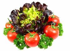 Fresh Salad With Tomatoes And Parsley Stock Photos Fresh Salad With Tomatoes And Parsley Stock Photos