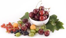Mixed Berries. Stock Images