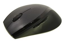 Computer Mouse On White Stock Image