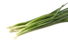 Green Onions Stock Photo Green Onions Stock Photo