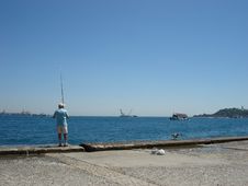 Fisherman And A Gull In Istanbul Royalty Free Stock Photos Fisherman And A Gull In Istanbul Royalty Free Stock Photos