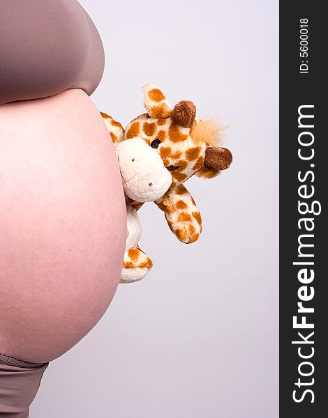 Camel Toy Watching Pregnant Belly Free Stock Images And Photos 