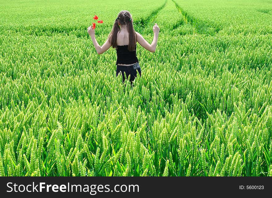 Young girl with red flowers in wheaten filed. Young girl with red flowers in wheaten filed