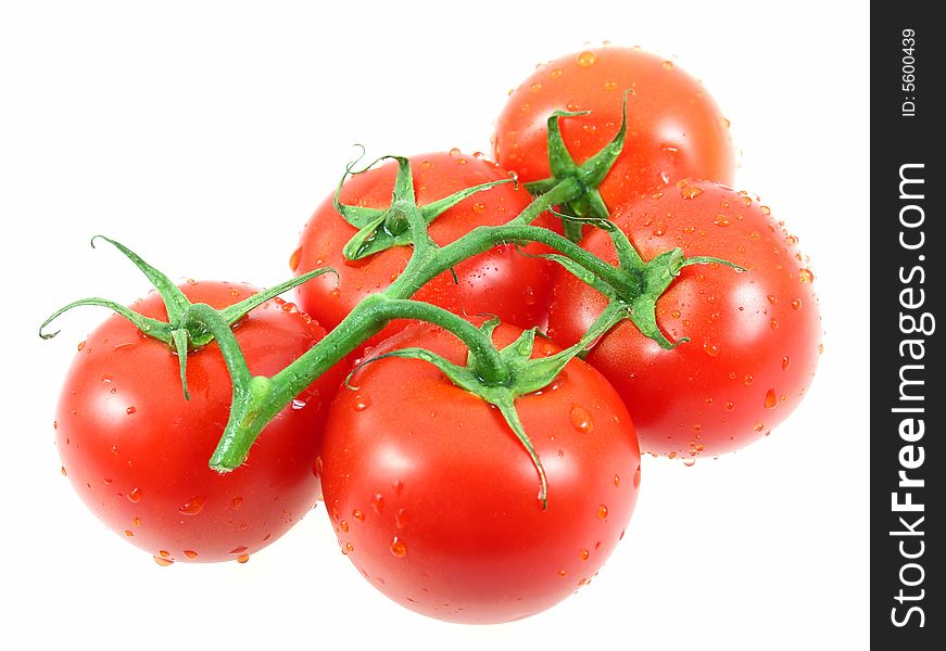 Red Wet Tomatos