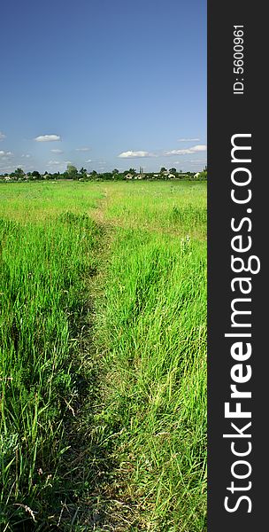 Vertical panorama of the green field with path and blue sky. Vertical panorama of the green field with path and blue sky