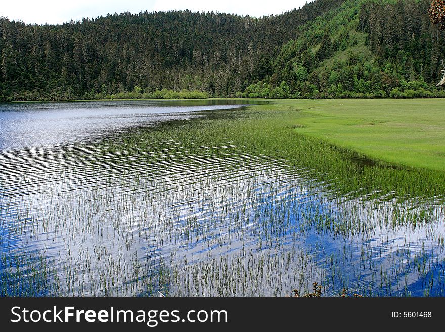 Plain landscape with grass beside the lake with sky reflection. Plain landscape with grass beside the lake with sky reflection