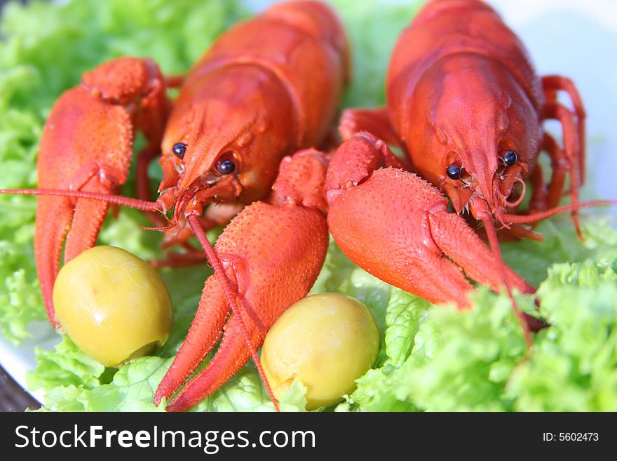 Two red lobsters on plate