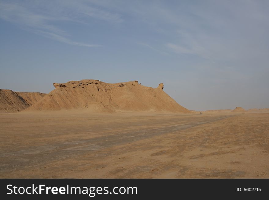 NECK CAMEL SAHARA TUNISIA DUNE SAND DESERT SUMMER