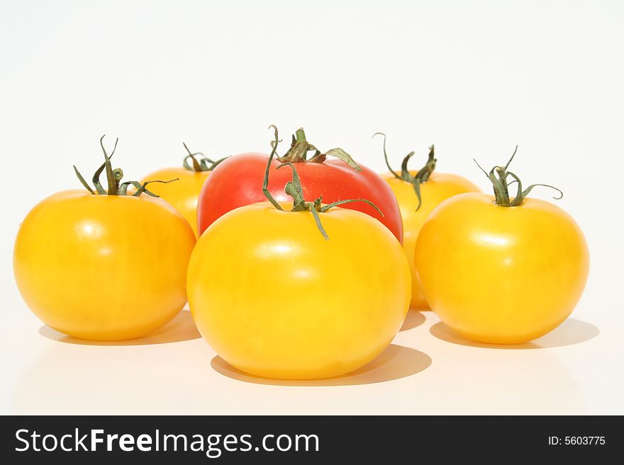 Yellow and red tomatoes against white background