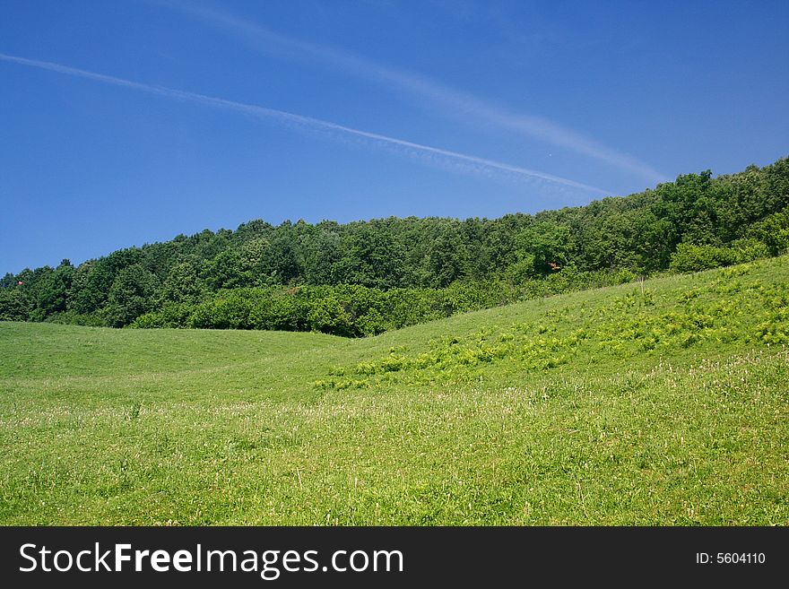Photo of a steppe landscape on a background of the blue sky