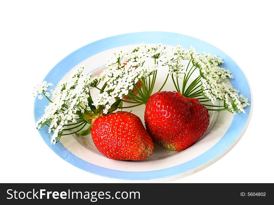 On a plate with the blue border shined with beams of the sun, the strawberry and white flowers lie