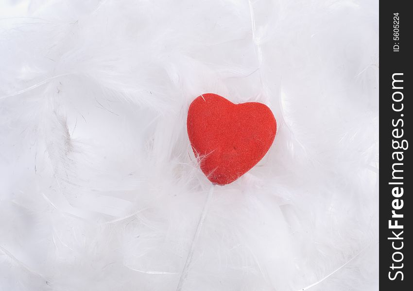 White feathers of birds at white background with heart. White feathers of birds at white background with heart