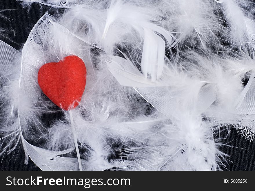 White feathers of birds at black background with heart. White feathers of birds at black background with heart