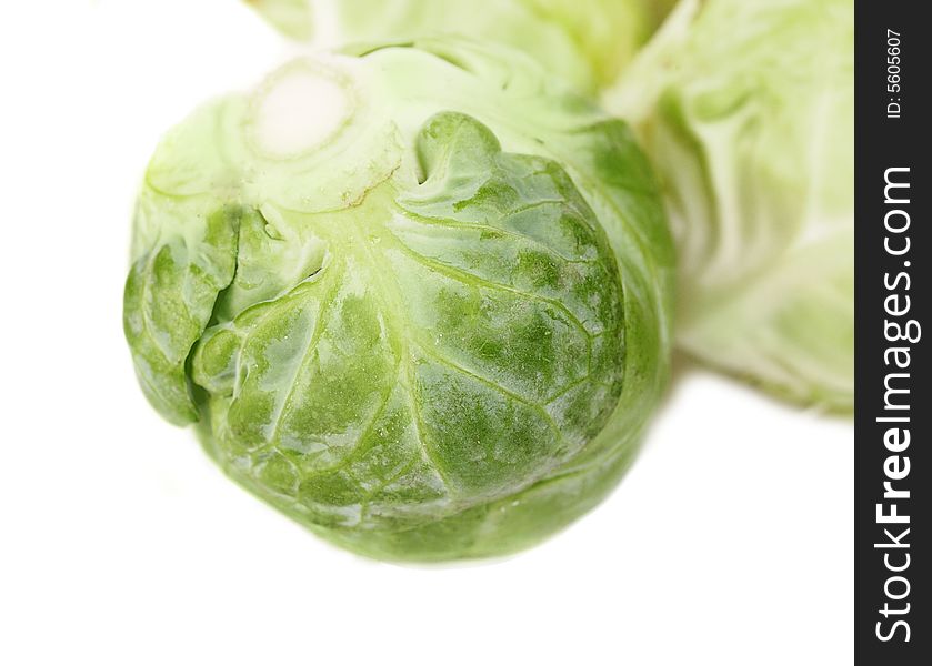 Small head of cabbage broccoli closeup