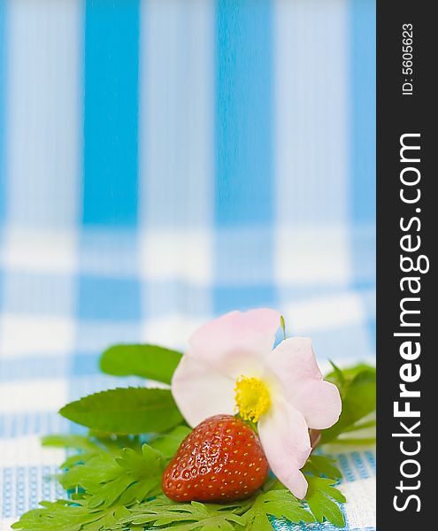 Strawberry and flower on fabric background for your design