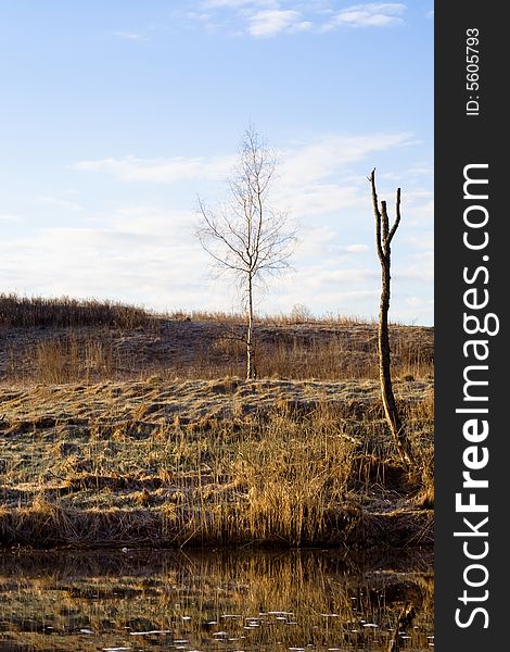 Non-urban landscape with two different leafless trees. Non-urban landscape with two different leafless trees