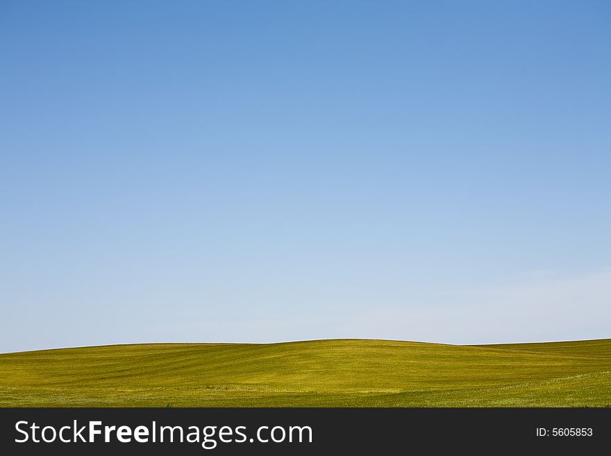 Green spring field with blue sky