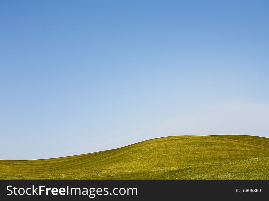 Green spring field with blue sky