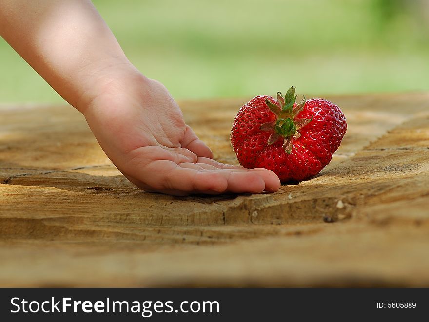 Big strawberry near the childish hand. Both are on the wood.