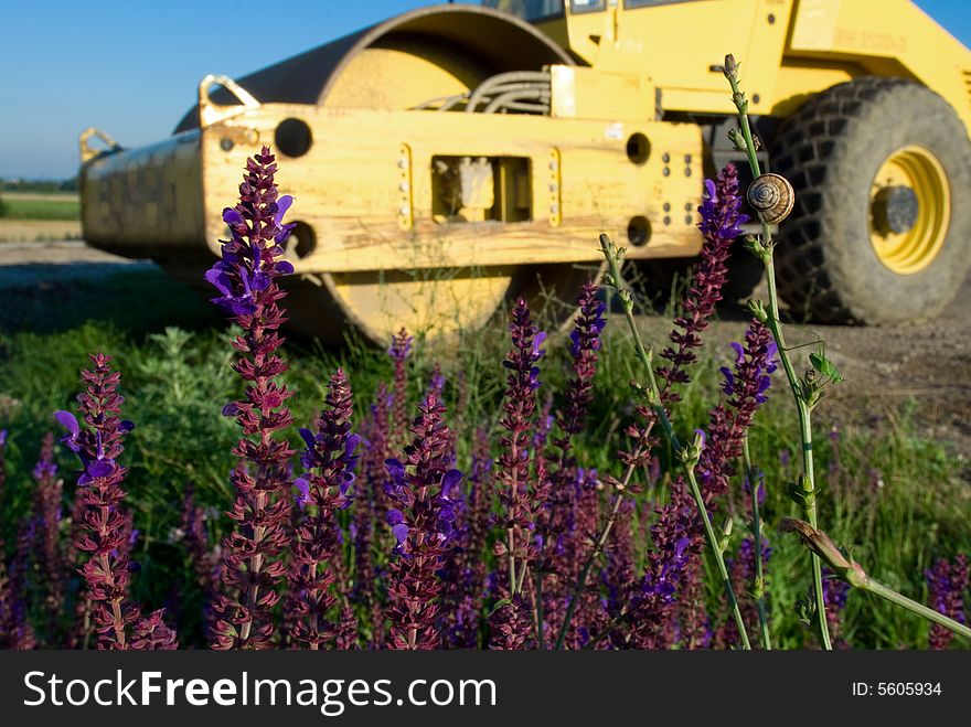 Flowers with a road roller in the background. Flowers with a road roller in the background