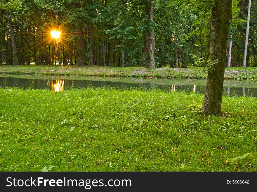 Sunset through trees and a small stream. Sunset through trees and a small stream