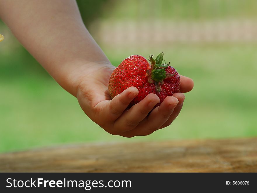 Big strawberry in childs' hand.