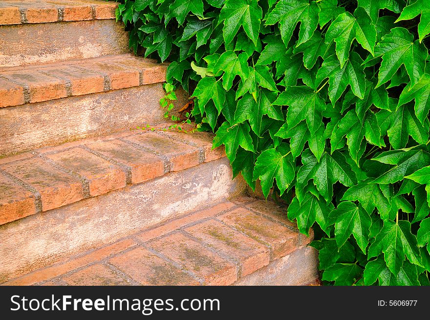 Abstract colored wallpaper with an hedge and stairs