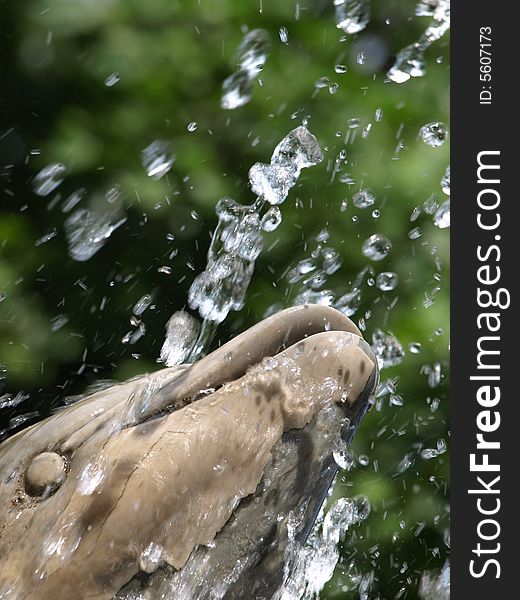 An original shot of a marble's dolphin of a fountain and the jet of water. An original shot of a marble's dolphin of a fountain and the jet of water