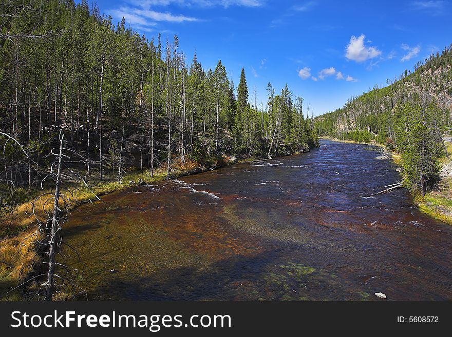 The fine multi-coloured river Gibbons in Yellowstone national park