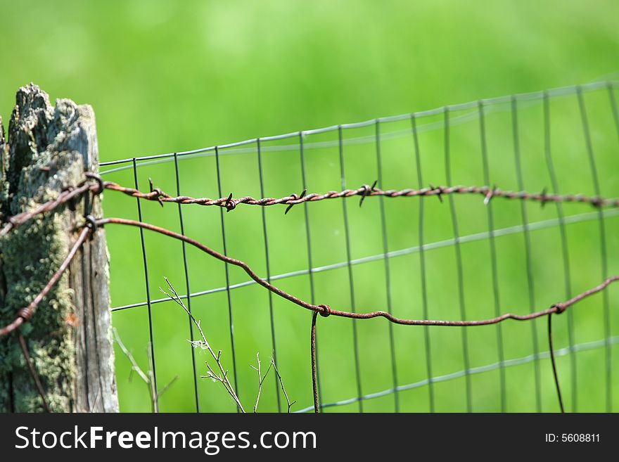 Barbed Wire Fence By Green Field