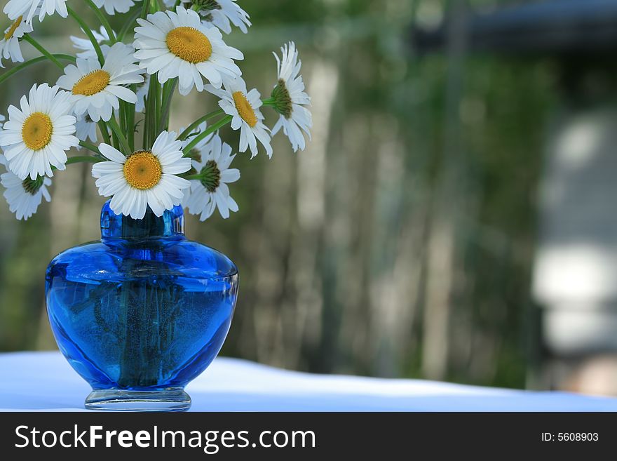 Bouquet of white daisies on table