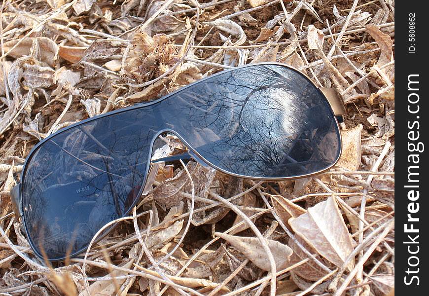 A pair of stylish sunglasses fallen on the dried leaves. A pair of stylish sunglasses fallen on the dried leaves
