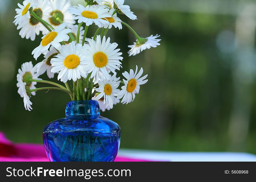 Bouquet of white daisieson table