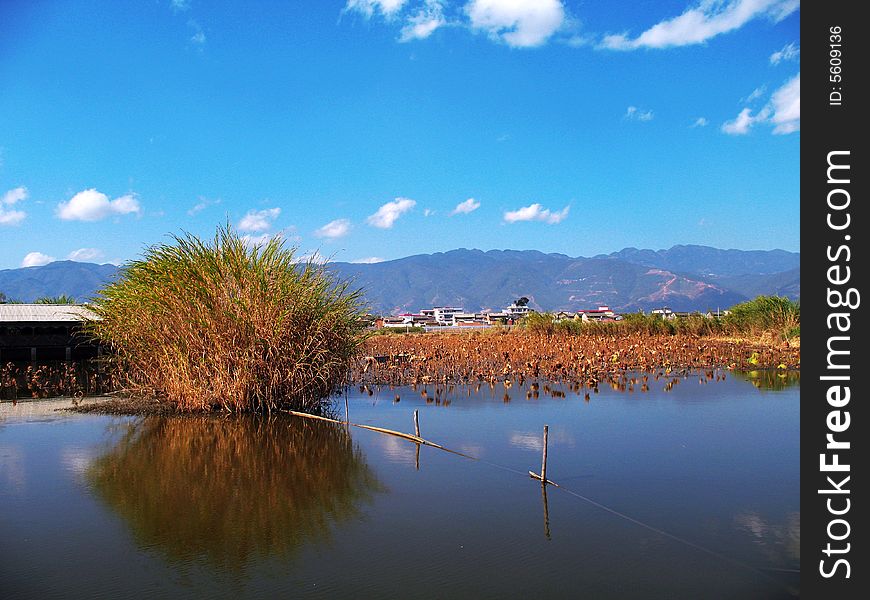 The lake on the blue sky