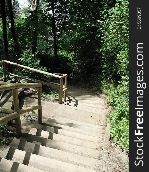 Sets of stairs down the forest