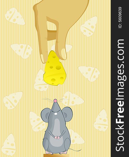 The happy mouse looking at a piece of cheese