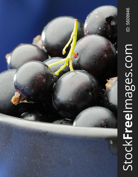 Black currants in the black bowl on the blue background. Narrow depth of field. Black currants in the black bowl on the blue background. Narrow depth of field.