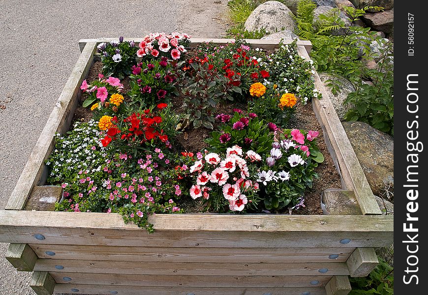 Street with flower pots