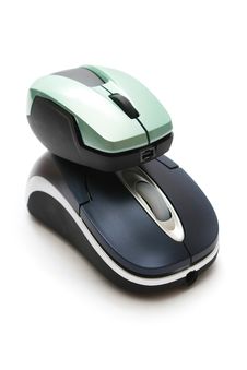Big Mouse Carry Small Mouse Stock Images Big Mouse Carry Small Mouse Stock Images